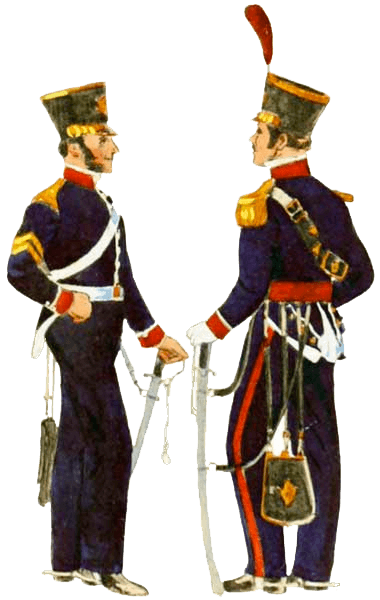 Униформа вооруженных сил Бразилии 1822 - 1830 годов