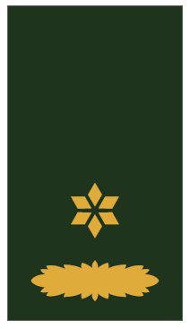 Униформа сухопутных войск Нидерландов образца 2003 года