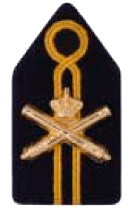 Униформа сухопутных войск Нидерландов образца 2003 года
