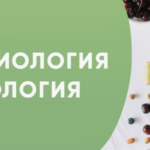 Диетология и нутрициология: как правильно питаться для здоровья и долголетия?