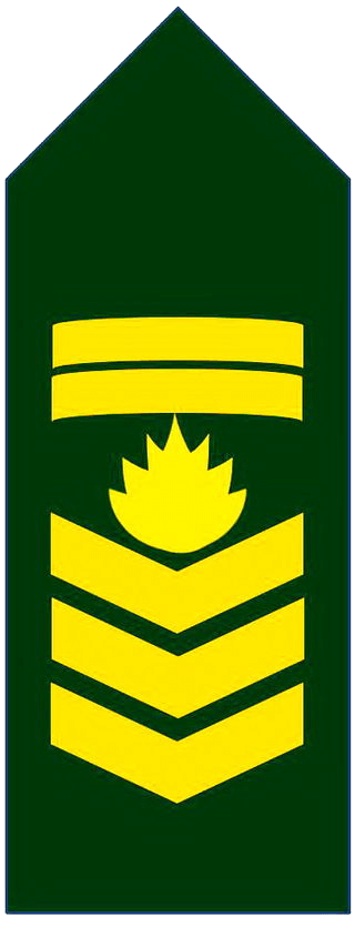 Знаки различия унтер-офицеров и сержантов армии Бангладеш