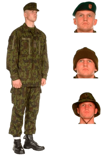 униформа сухопутных войск вооруженных сил Литвы